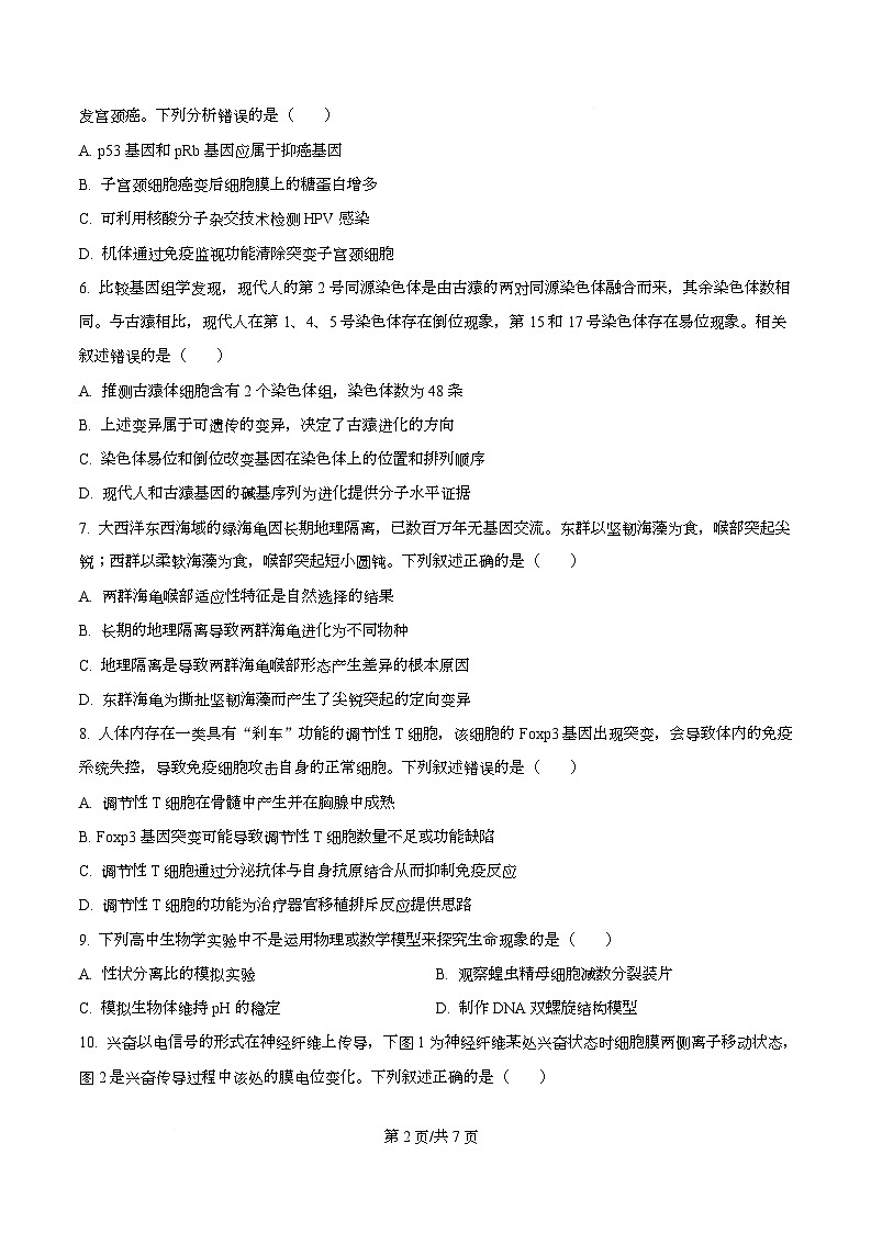 安徽省合肥市第八中学2025-2026学年高三上学期生物周测9（原卷版）第2页