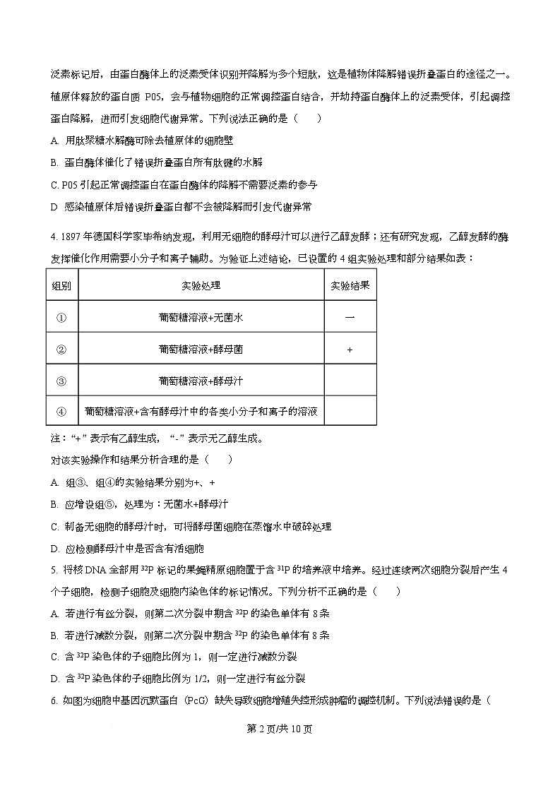 安徽省合肥市第一中学2025-2026学年高三上学期12月周测1生物试题（原卷版）第2页