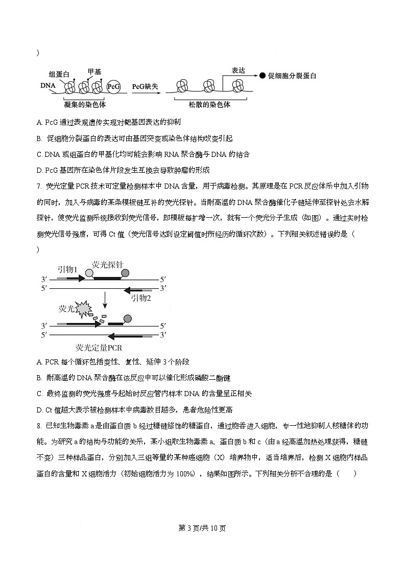安徽省合肥市第一中学2025-2026学年高三上学期12月周测1生物试题（原卷版）第3页