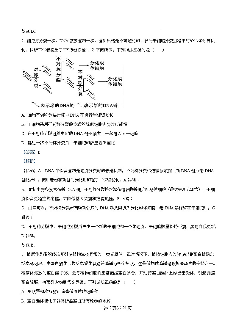 安徽省合肥市第一中学2025-2026学年高三上学期12月周测1生物试题 Word版含解析第2页