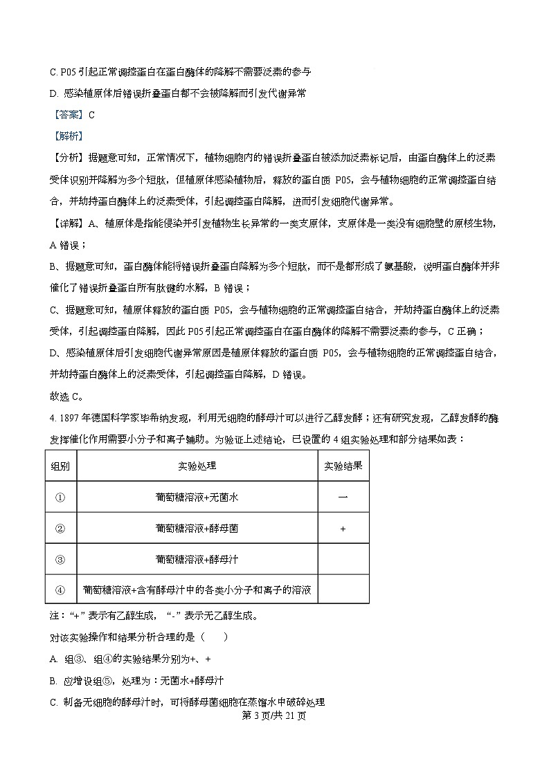 安徽省合肥市第一中学2025-2026学年高三上学期12月周测1生物试题 Word版含解析第3页