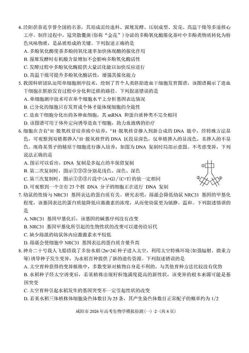陕西省咸阳市2026年高考模拟检测(一)生物学试题（含解析）第2页