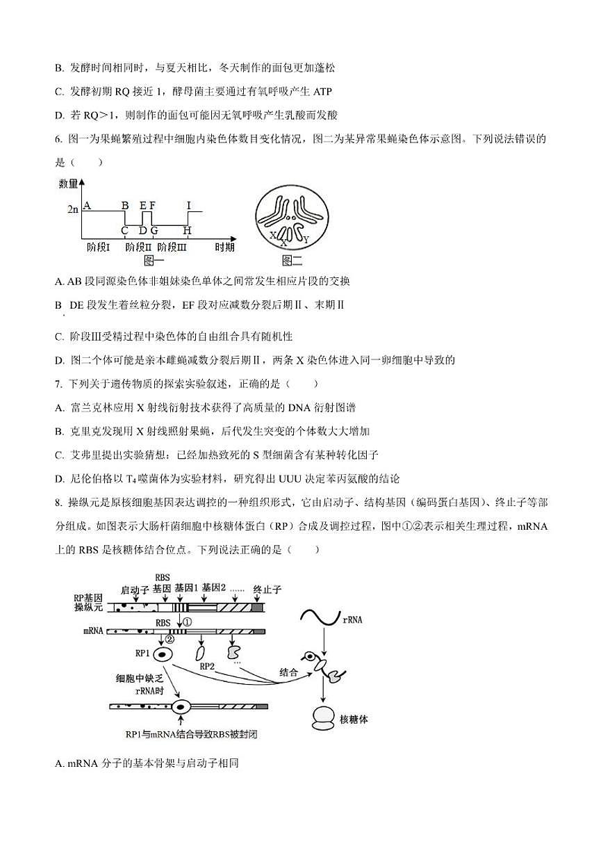 2025-2026学年江苏省徐州市一中高三上学期1月检测生物试题（含答案）第2页