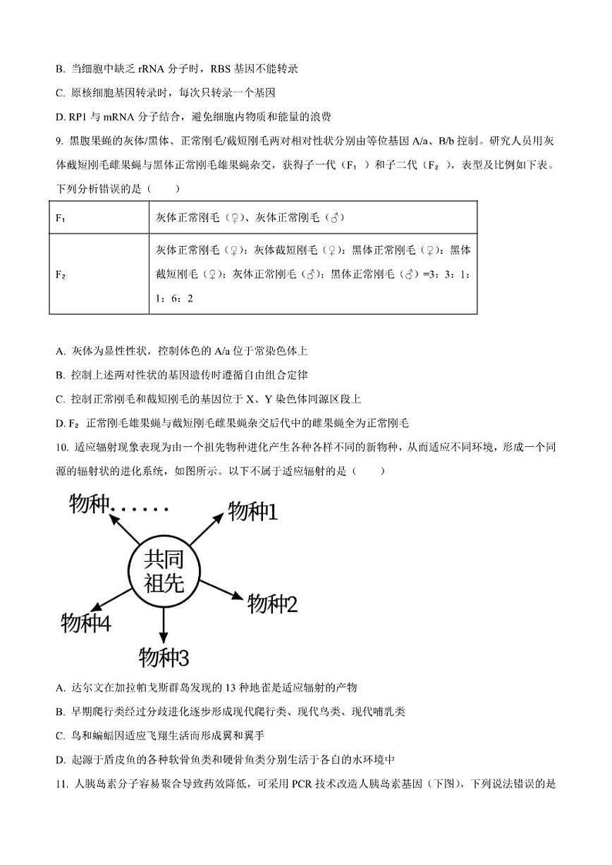 2025-2026学年江苏省徐州市一中高三上学期1月检测生物试题（含答案）第3页