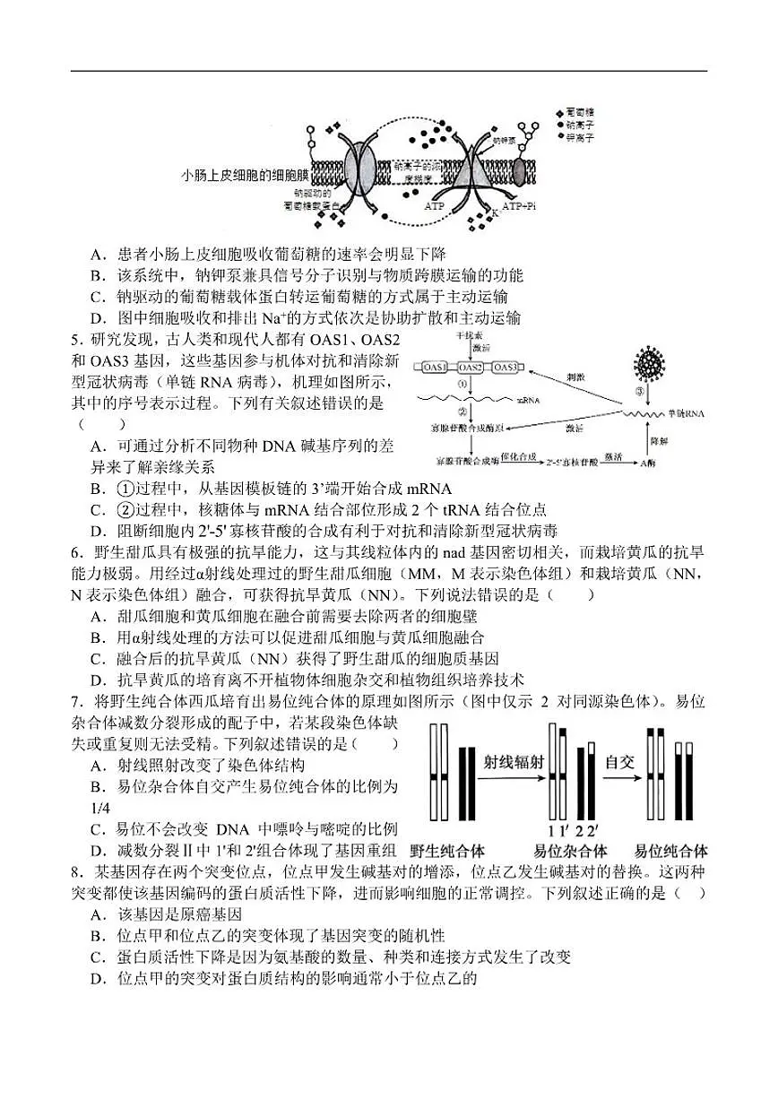 2026届四川省字节精准教育联盟高三上学期1月一模生物试题（含解析）第2页