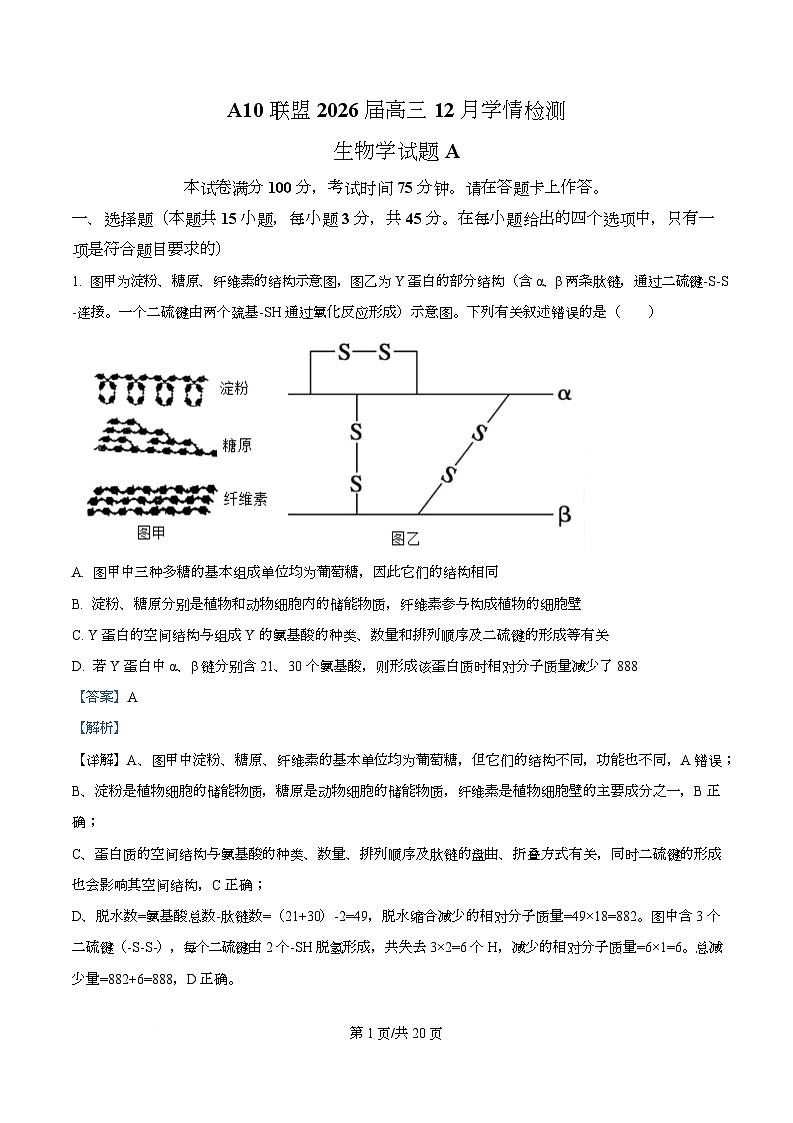 安徽省A10联盟2025-2026学年高三上学期12月学情检测生物A试题  Word版含解析第1页