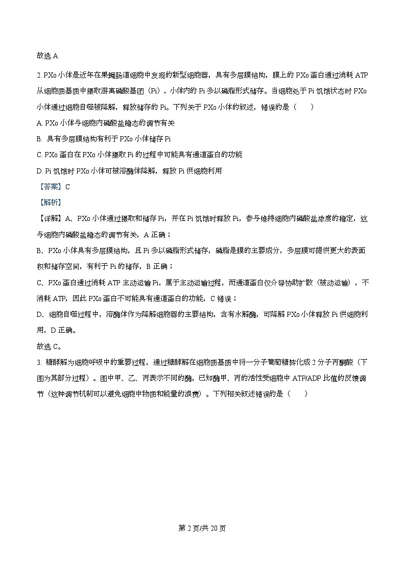 安徽省A10联盟2025-2026学年高三上学期12月学情检测生物A试题  Word版含解析第2页