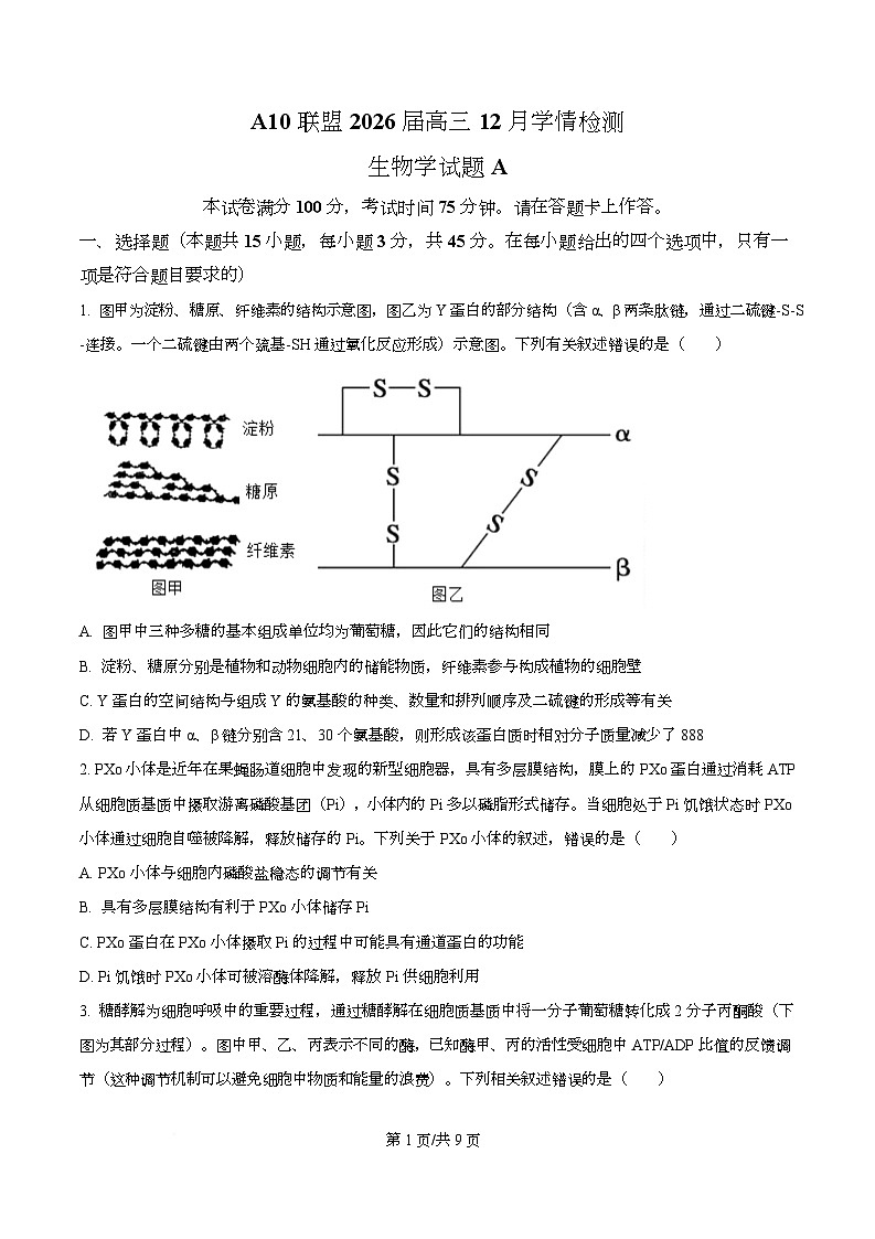 安徽省A10联盟2025-2026学年高三上学期12月学情检测生物A试题  Word版无答案第1页