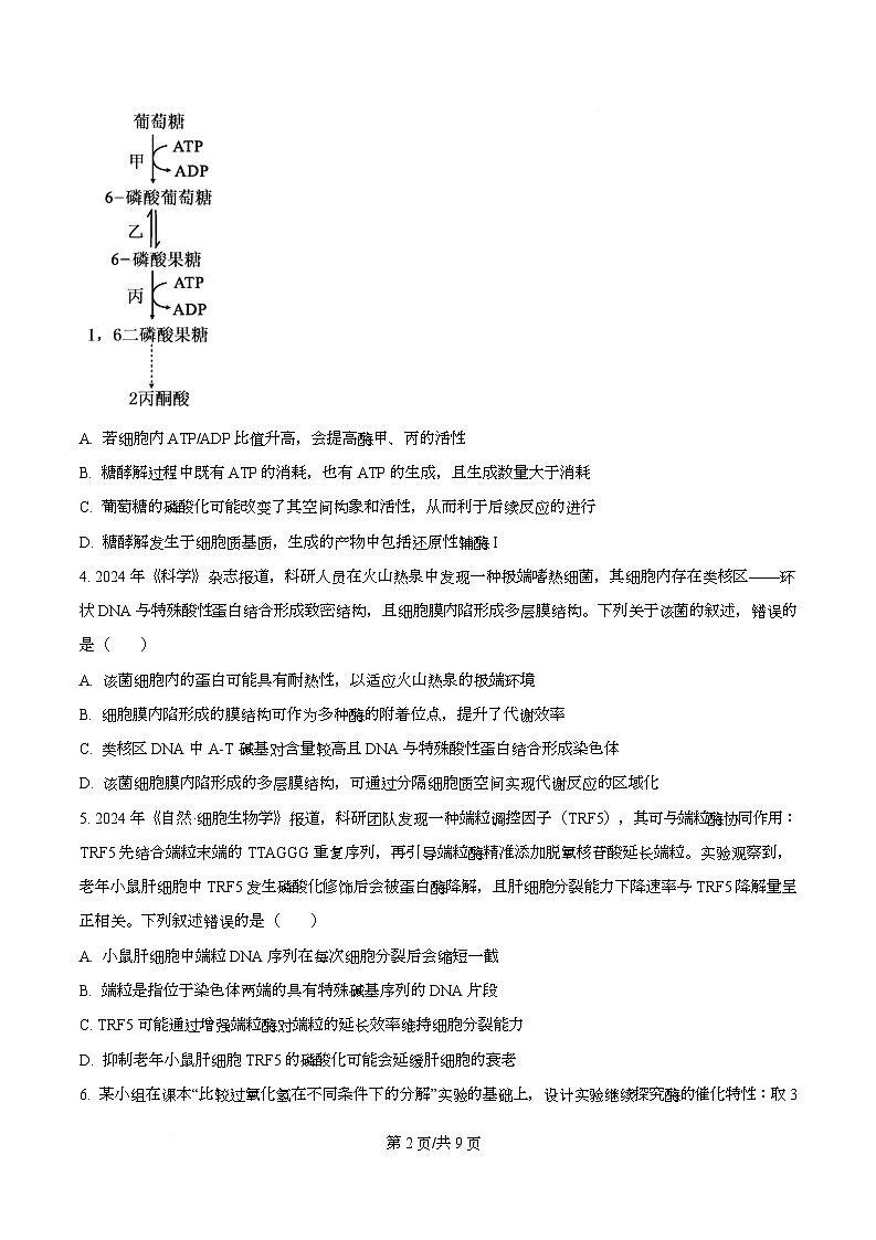 安徽省A10联盟2025-2026学年高三上学期12月学情检测生物A试题  Word版无答案第2页