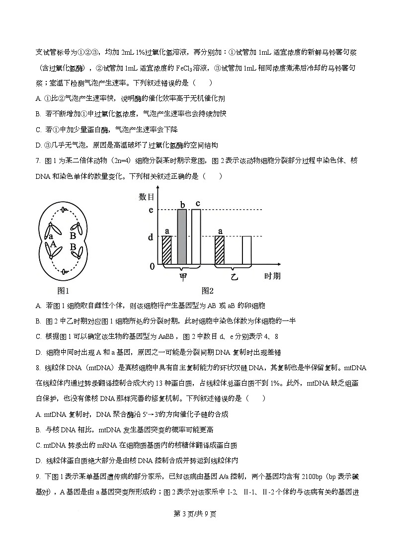 安徽省A10联盟2025-2026学年高三上学期12月学情检测生物A试题  Word版无答案第3页