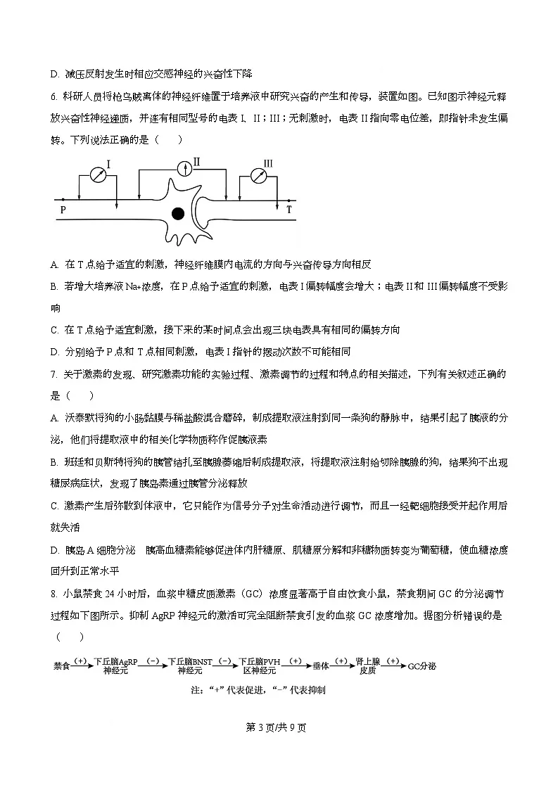 安徽省蚌埠市A层高中2025-2026学年高二上学期12月月考生物试题 Word版无答案第3页