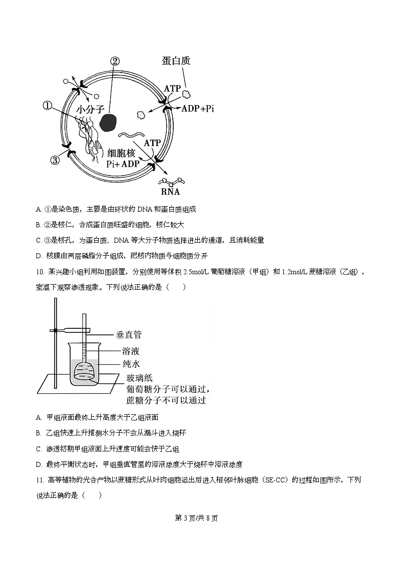 安徽省蚌埠市A层高中2025-2026学年高一上学期12月考试生物试题 Word版无答案第3页