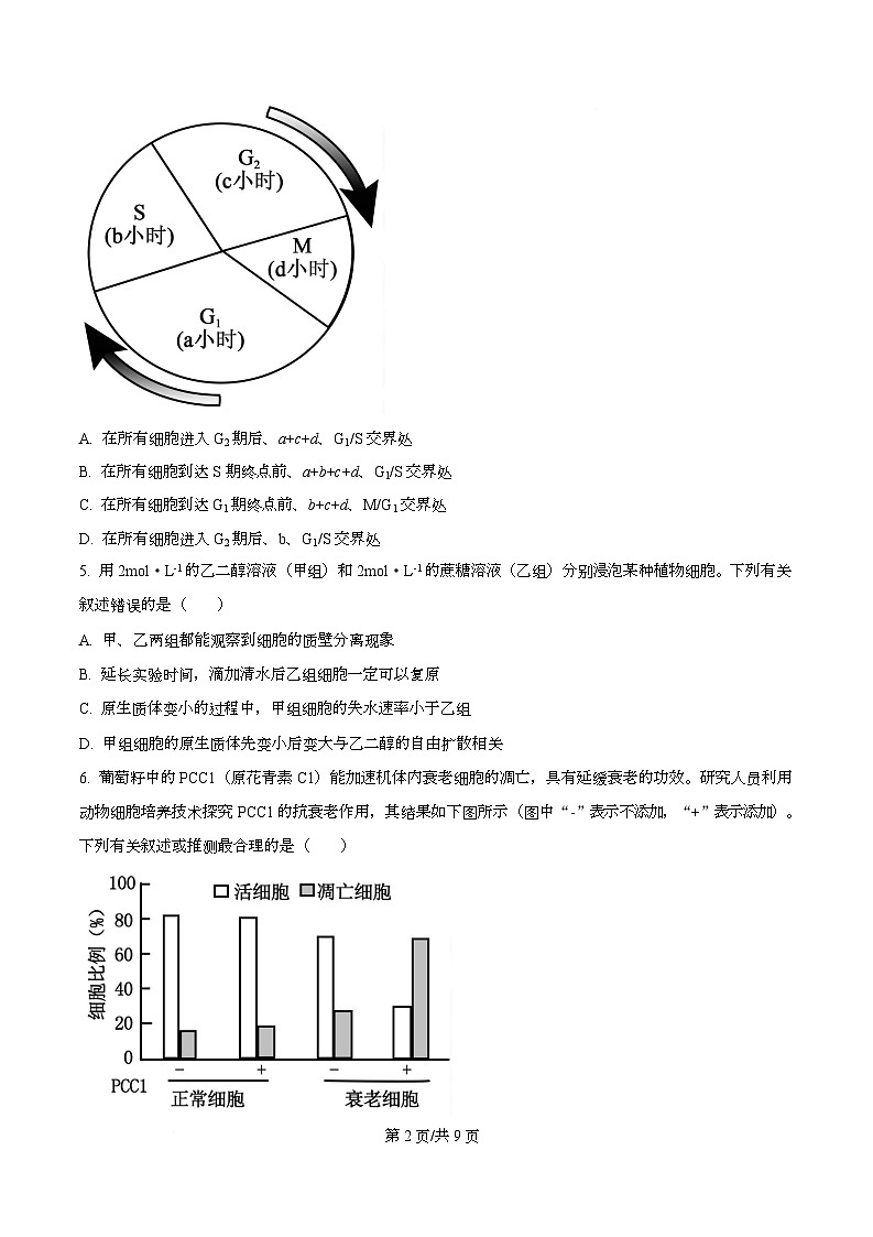 安徽省部分学校2025-2026学年高三上学期12月月考生物试题（A卷） Word版无答案第2页