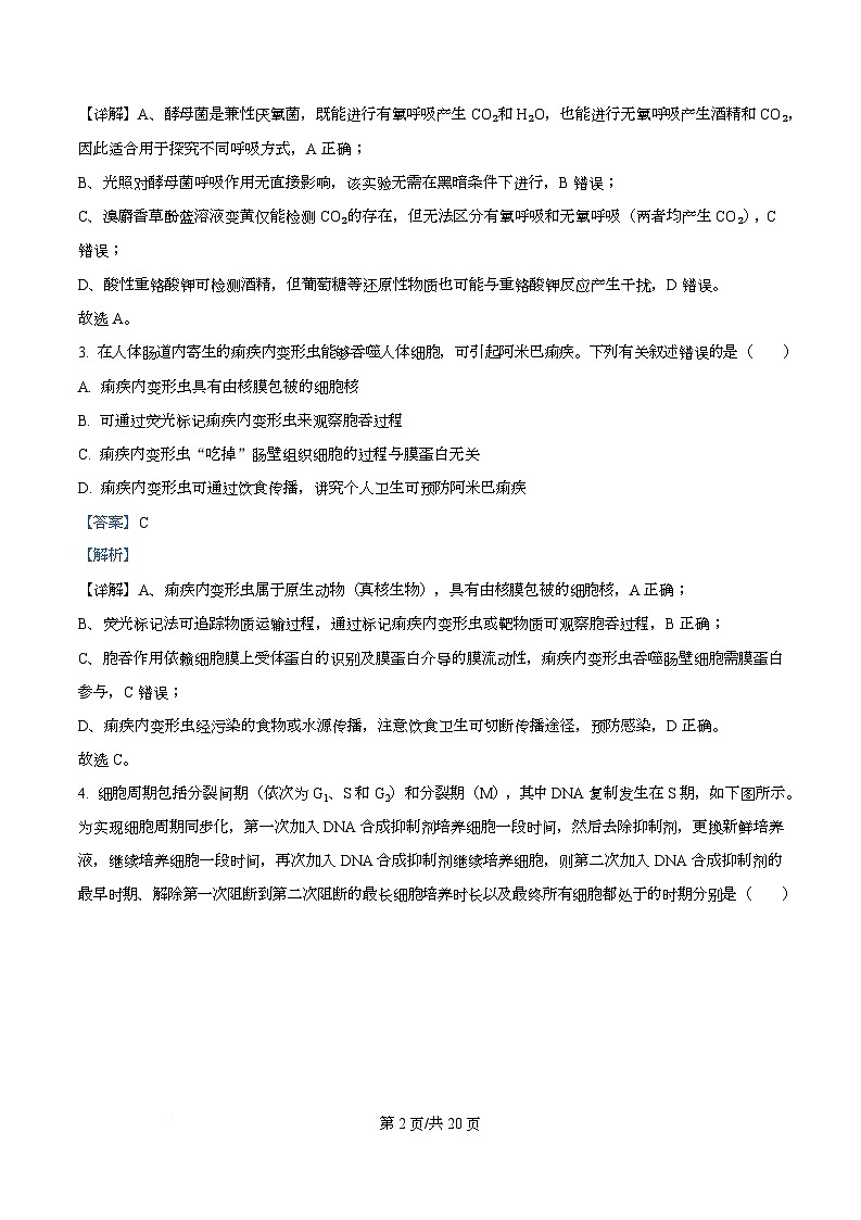 安徽省部分学校2025-2026学年高三上学期12月月考生物试题（A卷） Word版含解析第2页
