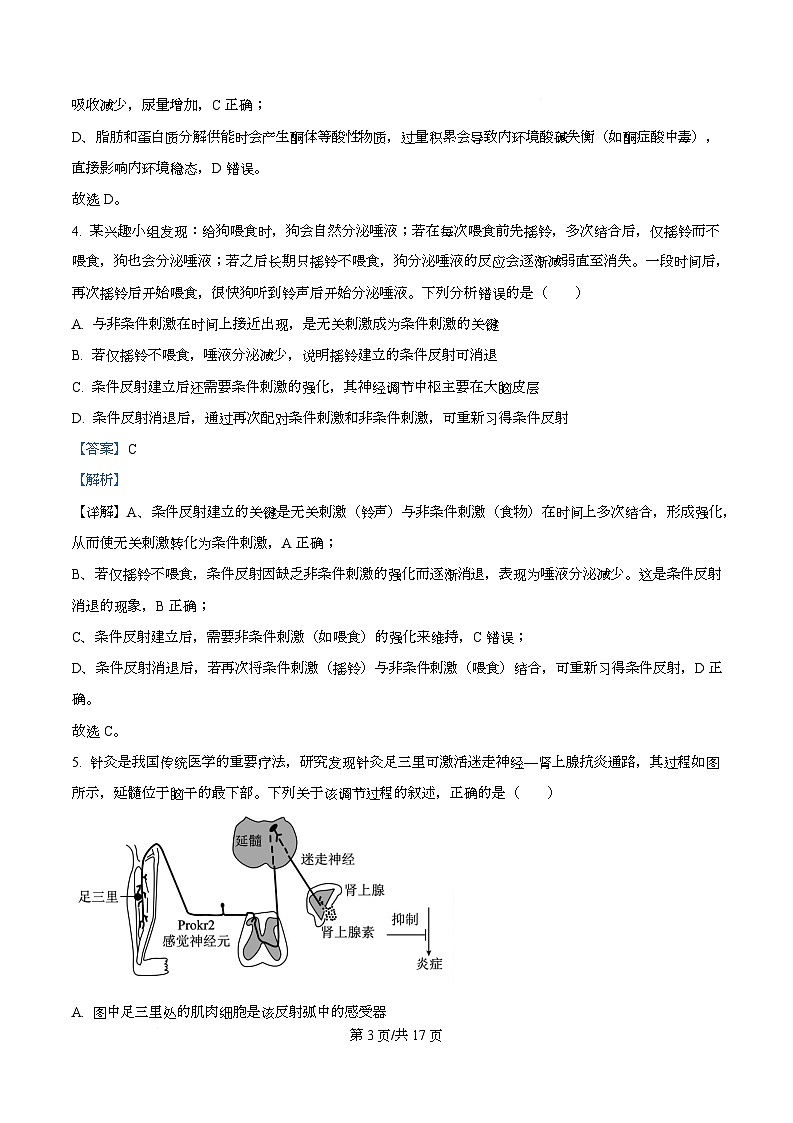 安徽省鼎尖名校大联考2025-2026学年高二上学期11月期中考试生物A试题  Word版含解析第3页