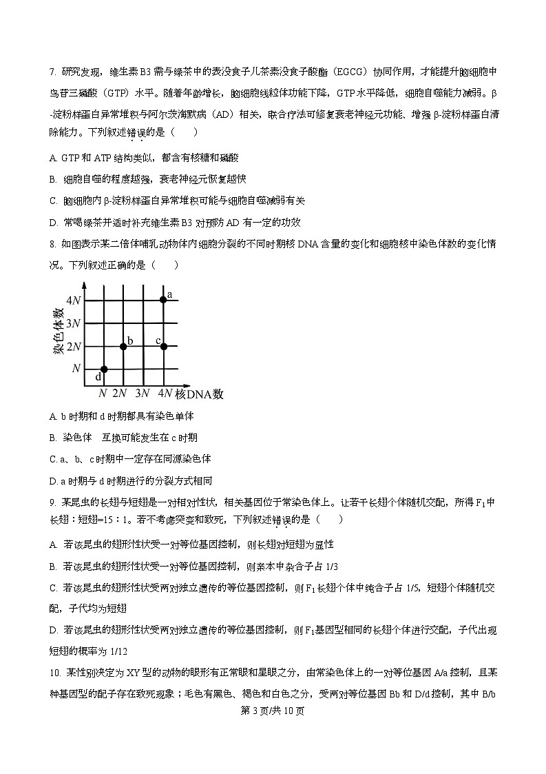 安徽省联考2025-2026学年高三上学期12月月考生物试题  Word版无答案第3页