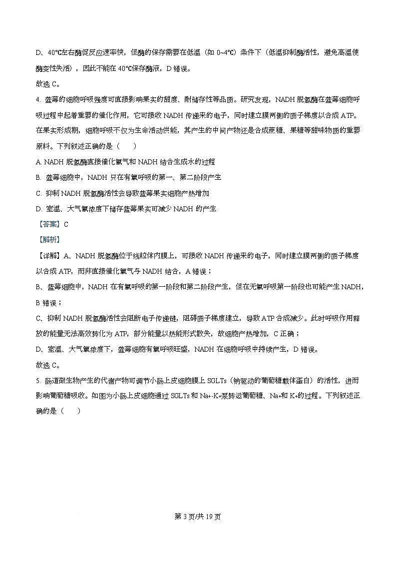 安徽省联考2025-2026学年高三上学期12月月考生物试题  Word版含解析第3页