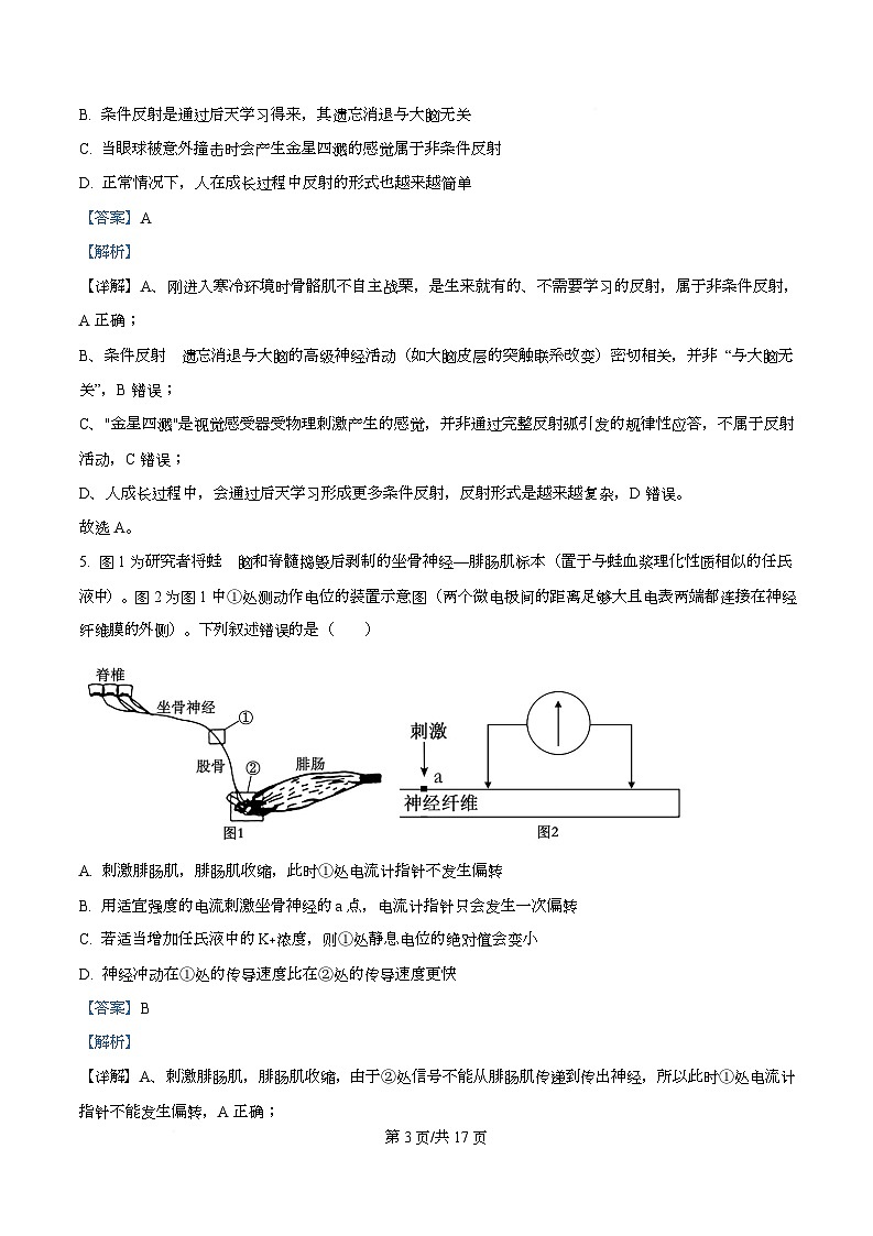 安徽省特色高中教研联谊会2025-2026学年高二上学期12月月考生物试题 Word版含解析第3页