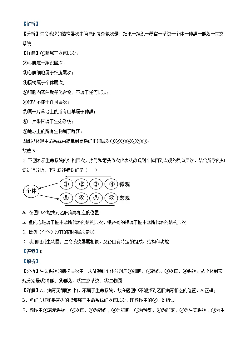 重庆市七校联考2024-2025学年高一上学期第一次月考生物试题 Word版含解析第3页