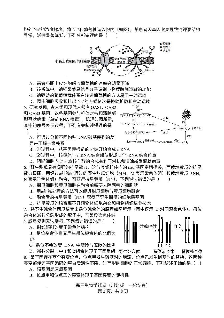 2026届四川省字节精准教育联盟高三上学期1月一模生物试题第2页