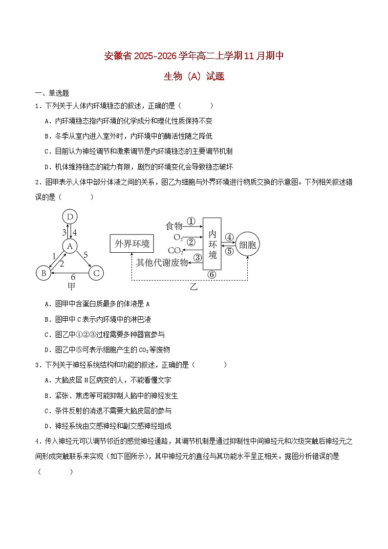 安徽省芜湖市2025_2026学年高二生物上学期11月期中试题A卷第1页
