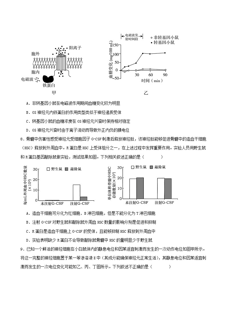 安徽省芜湖市2025_2026学年高二生物上学期11月期中试题A卷第3页