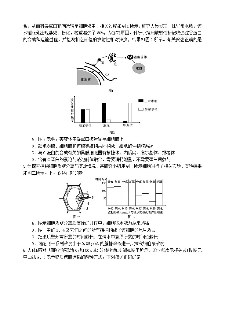四川省遂宁市2025_2026学年高三生物上学期11月二模考试第2页