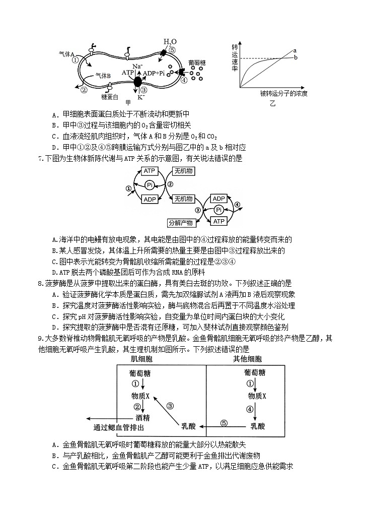 四川省遂宁市2025_2026学年高三生物上学期11月二模考试第3页