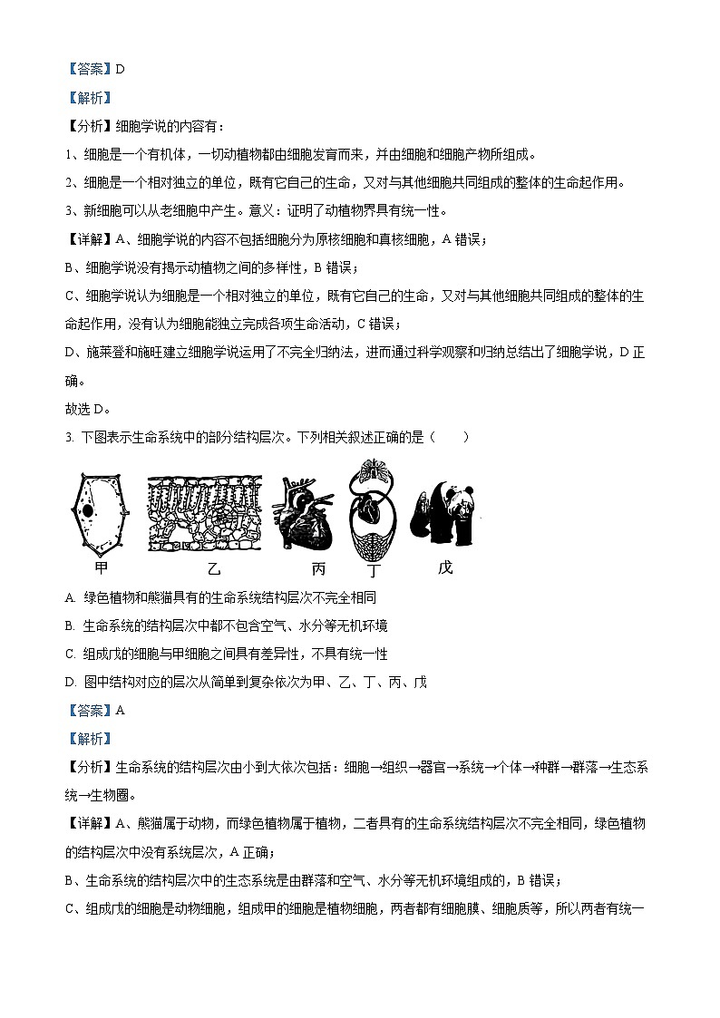北京市丰台区2024-2025学年高一上学期期末生物试题 含解析第2页