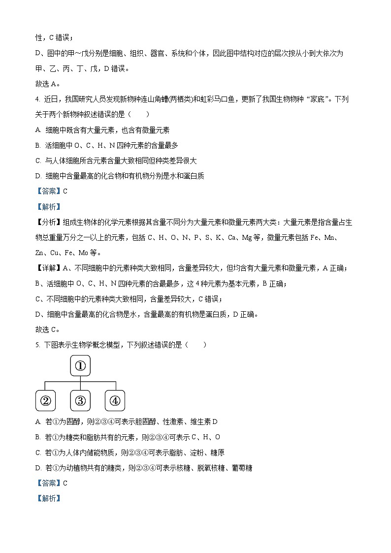 北京市丰台区2024-2025学年高一上学期期末生物试题 含解析第3页