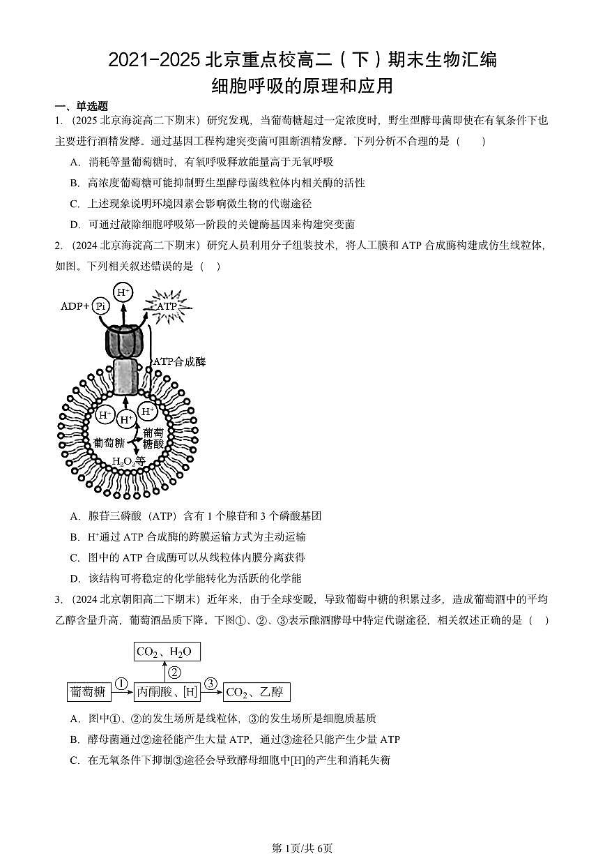 2021-2025北京重点校高二（下）期末生物汇编：细胞呼吸的原理和应用第1页