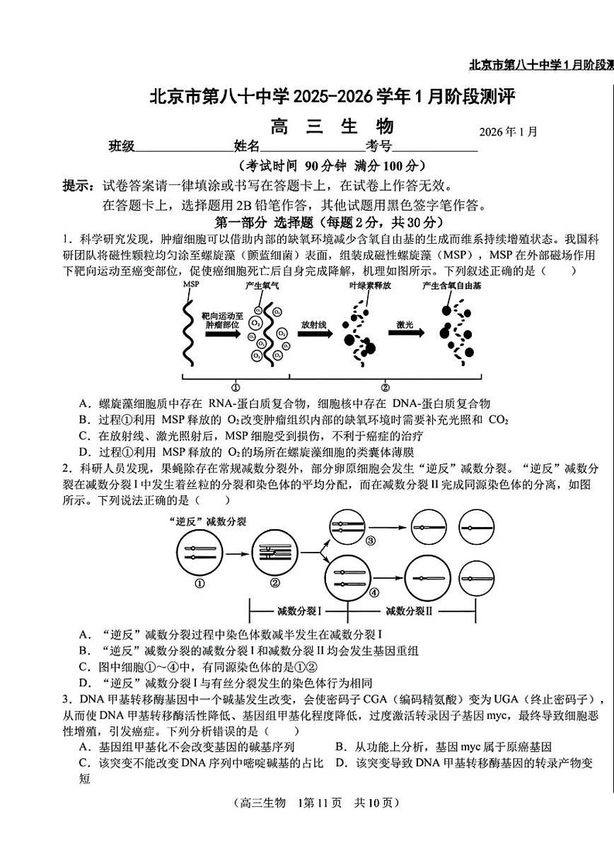 2026年北京八十中高三上1月月考生物（含解析）第1页