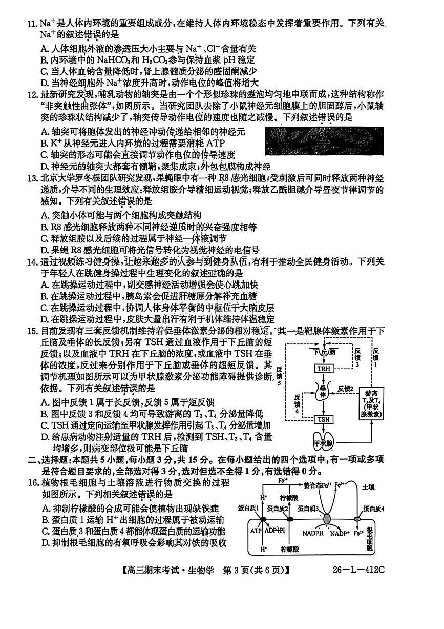 生物试卷-黑龙江省齐齐哈尔市2026届高三上学期1月期末考试（26—L—412C）第3页