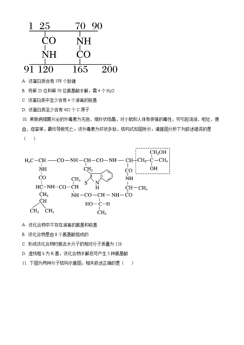 福建省福州市福9联盟校2024-2025学年高一上学期11月期中生物试题  Word版无答案第3页