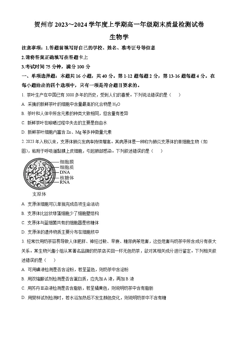 广西壮族自治区贺州市2023-2024学年高一上学期期末考试生物试题  Word版无答案第1页