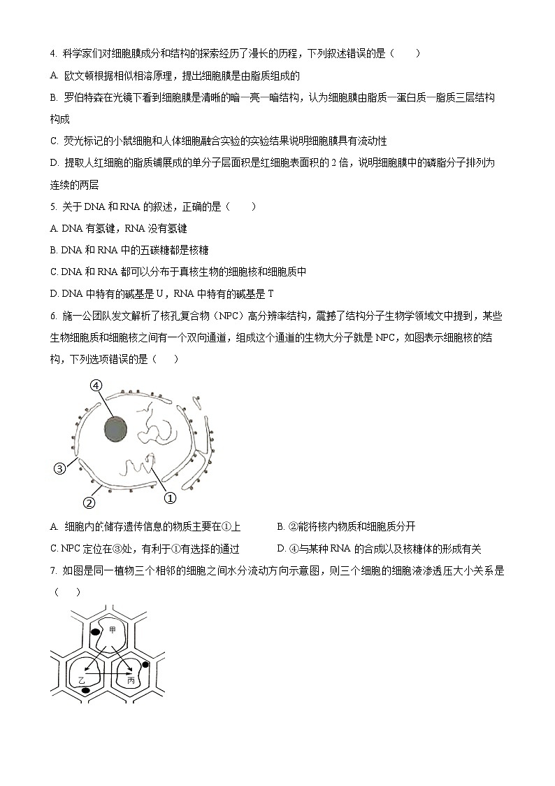 广西壮族自治区贺州市2023-2024学年高一上学期期末考试生物试题  Word版无答案第2页