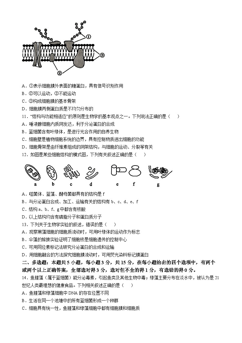 河北省保定市六校联盟2024-2025学年高一上学期11月期中联考生物试题（含答案）第3页