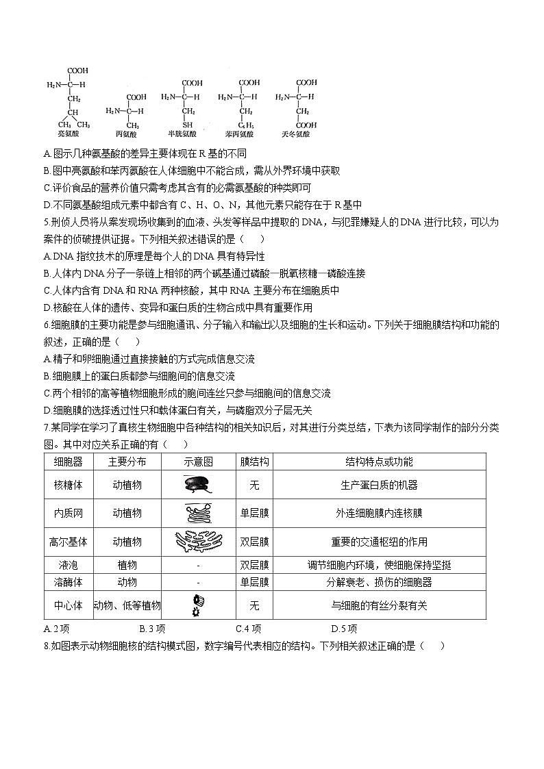 河北省沧州市四县联考2024-2025学年高一上学期11月月考生物试题第2页