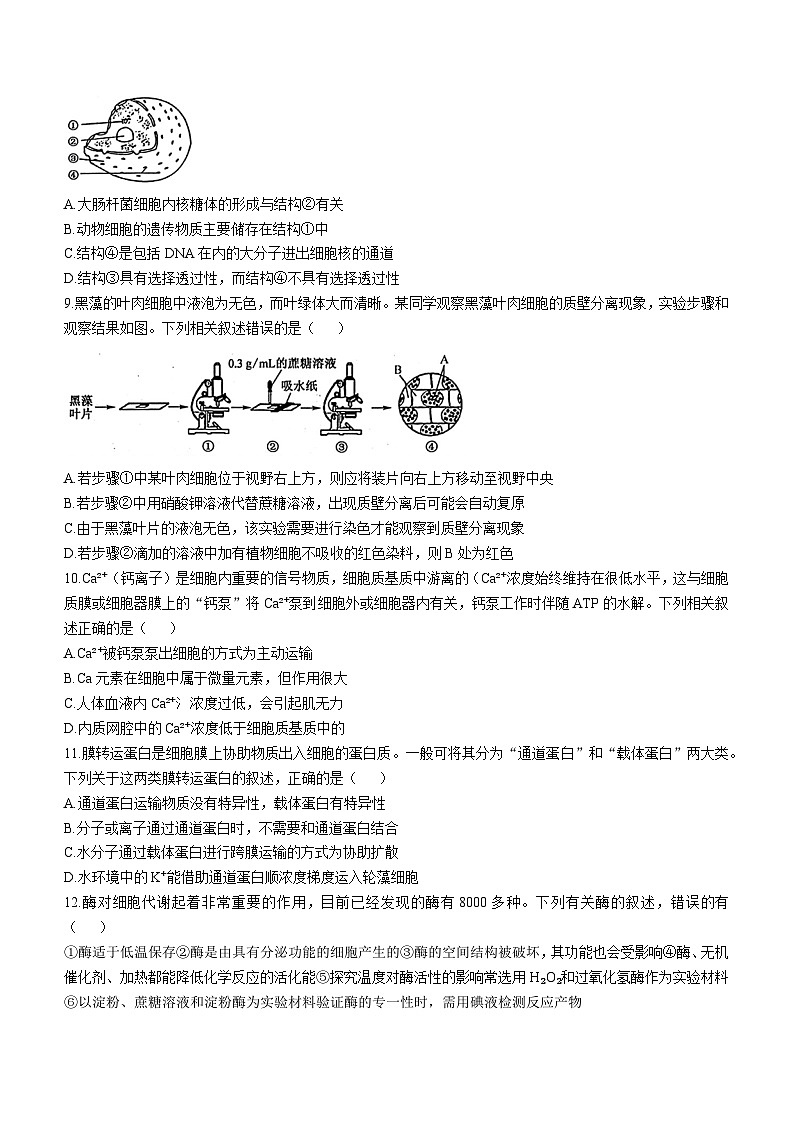 河北省沧州市四县联考2024-2025学年高一上学期11月月考生物试题第3页