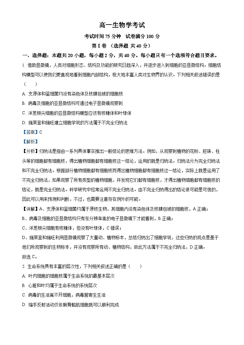 河北省衡水市冀州区河北冀州中学2024-2025学年高一上学期10月期中生物试题 Word版含解析第1页