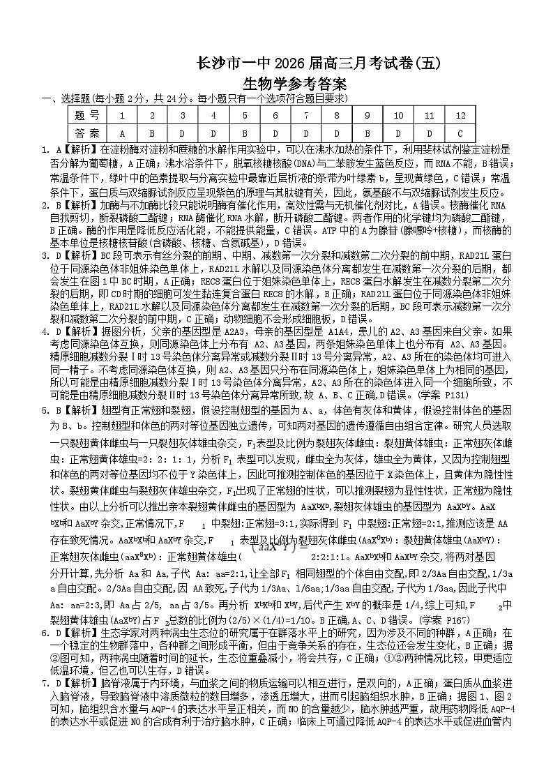 生物答案（26月考五Y）第1页