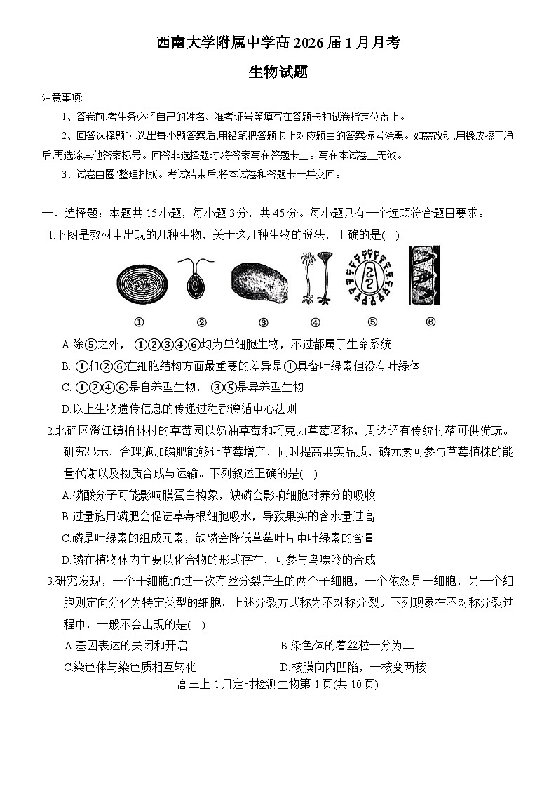 重庆市西南大学附属中学2025-2026学年高三上学期1月月考生物试题第1页