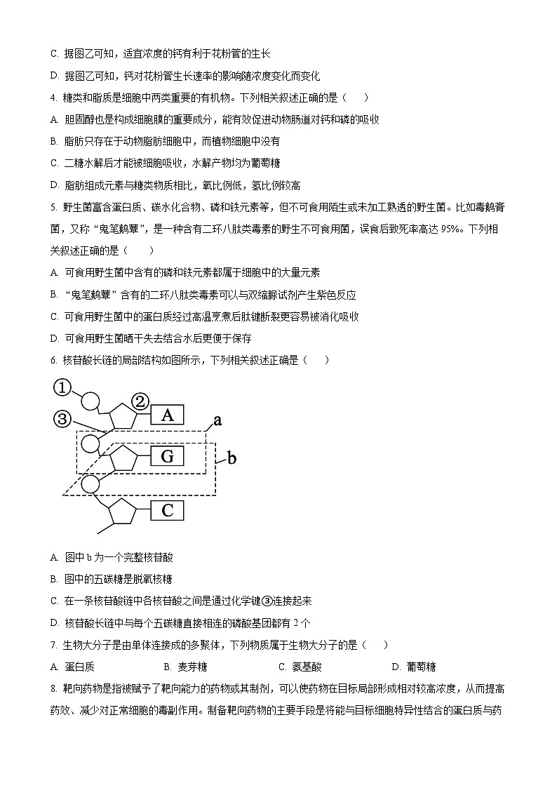 黑龙江省龙东地区2024-2025学年高一上学期阶段测试（期中）生物试卷（二）  Word版无答案第2页