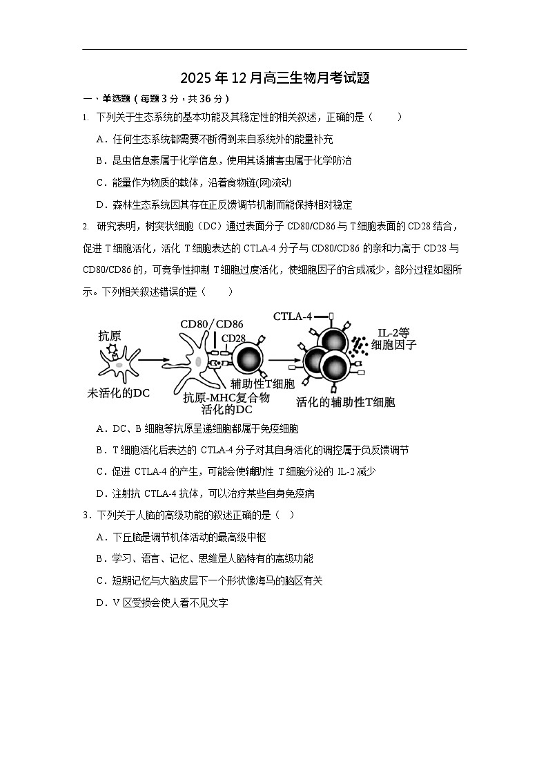 湖南省岳阳市岳阳县第一中学2025-2026学年高二上学期12月月考生物试题第1页