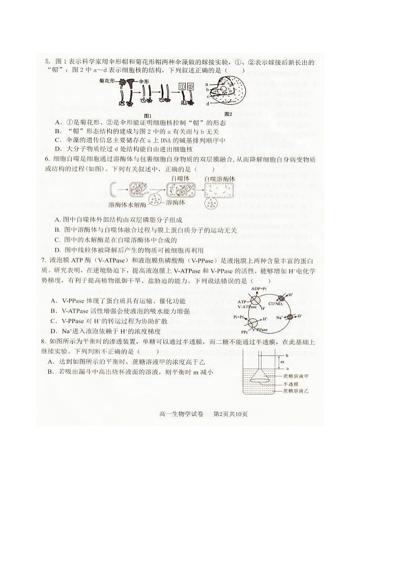辽宁省抚顺市六所名校2025-2026学年高一上学期1月期末联考试题 生物（含答案）第2页