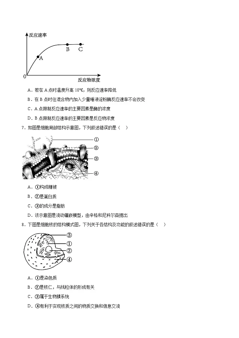 四川省内江市重点高中2025-2026学年高一上学期1月月考试题 生物（含答案）第2页