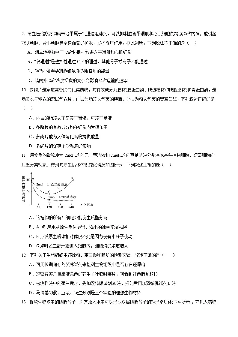 四川省内江市重点高中2025-2026学年高一上学期1月月考试题 生物（含答案）第3页