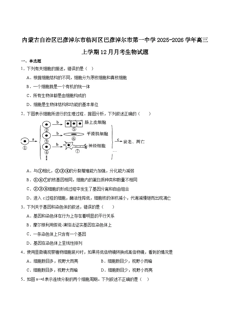 内蒙古巴彦淖尔市第一中学2026届高三上学期12月月考生物试卷（Word版附答案）第1页