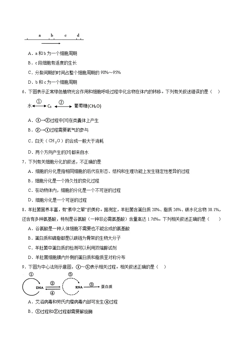 内蒙古巴彦淖尔市第一中学2026届高三上学期12月月考生物试卷（Word版附答案）第2页