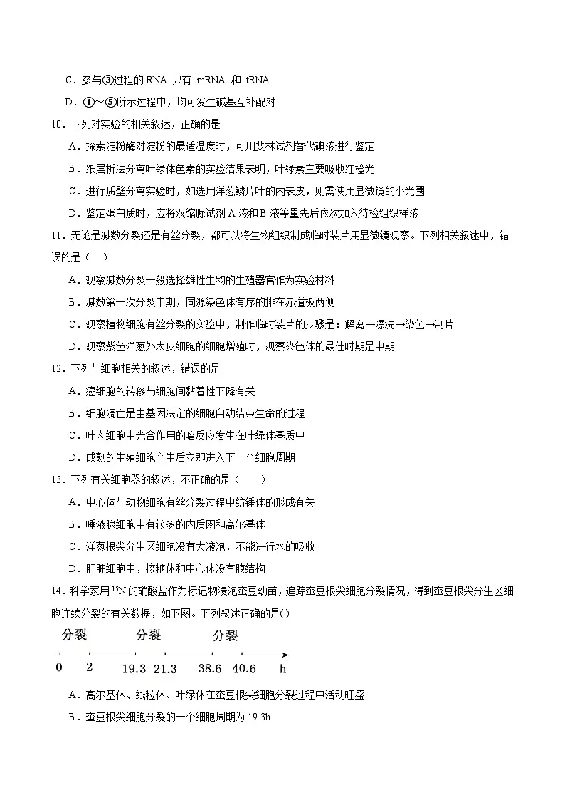 内蒙古巴彦淖尔市第一中学2026届高三上学期12月月考生物试卷（Word版附答案）第3页